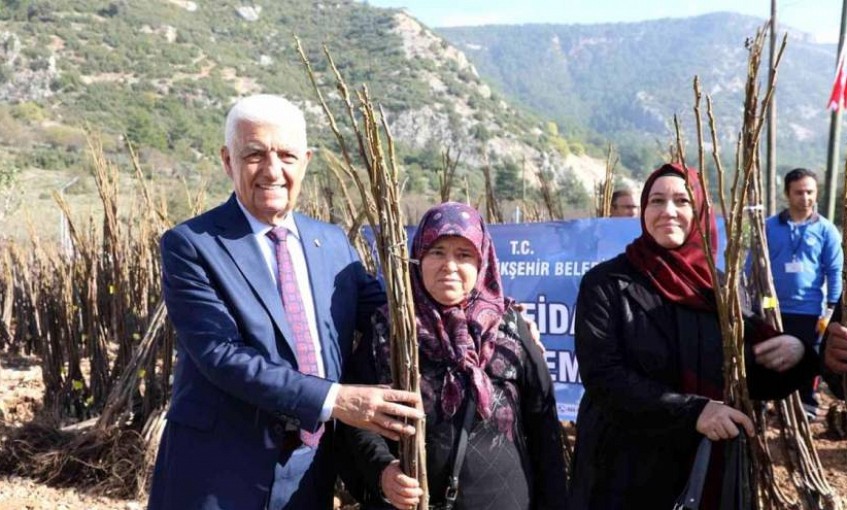 Büyükşehirden fidan ve tohum desteği