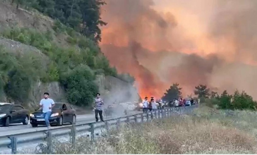 Türkiye Alev Alev: Karabük ve Bursa’daki Orman Yangınları Yayılıyor, Tahliyeler Sürüyor